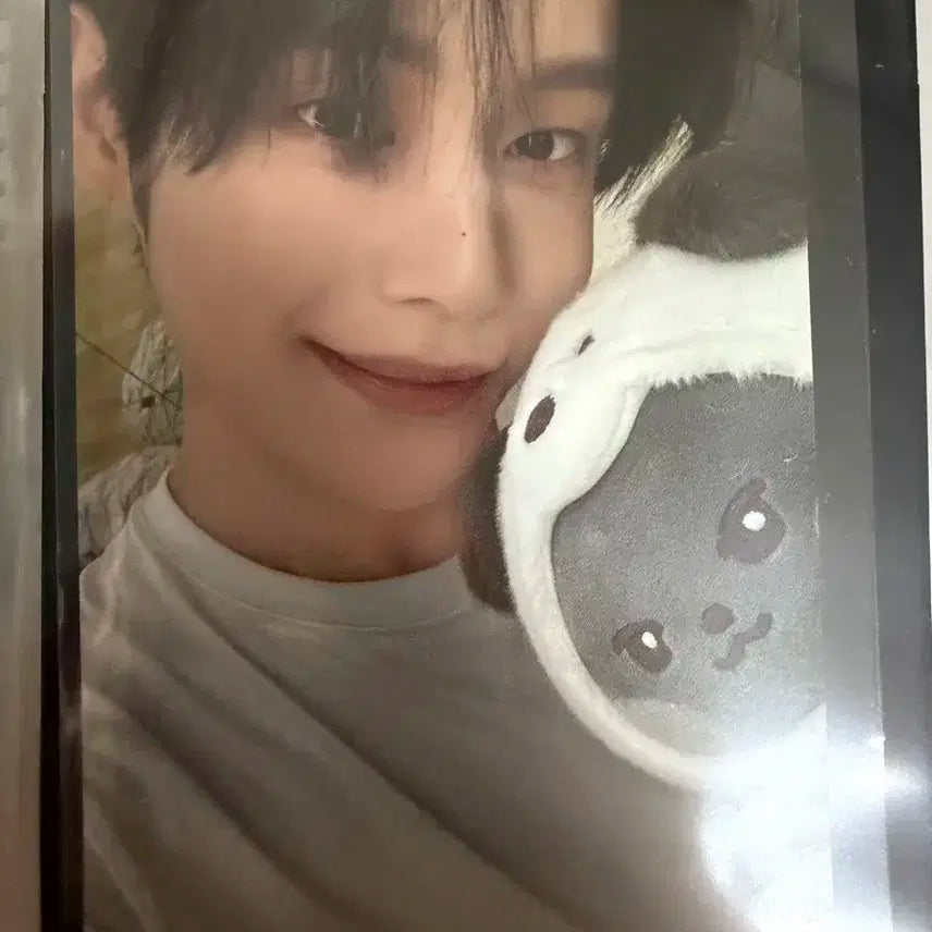 제로니 팝업 김지웅 포카 양도