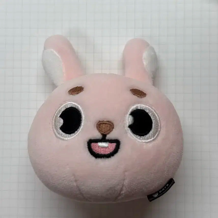 데이식스 데니멀즈 스트레스볼 필