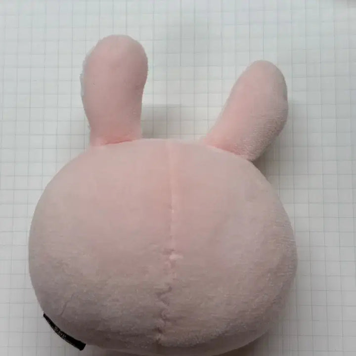 데이식스 데니멀즈 스트레스볼 필