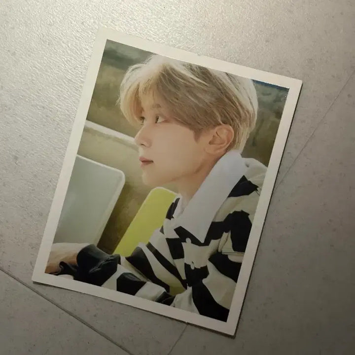 엔시티 위시 포카 포스터 일괄 판매