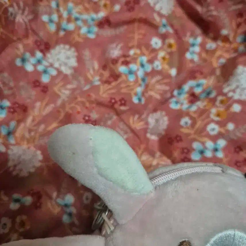 데이식스 19 클콘 선물콘 데니멀즈 파우치 원필 필끼