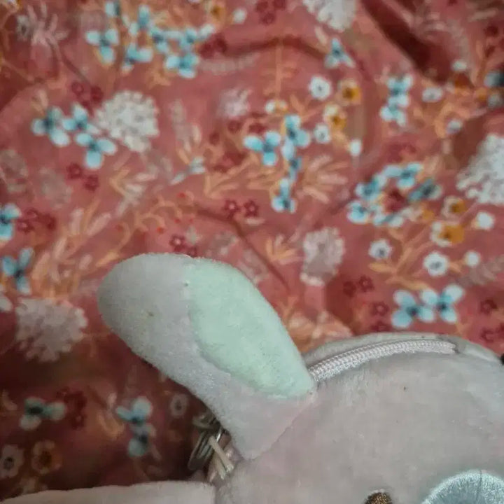 데이식스 19 클콘 선물콘 데니멀즈 파우치 원필 필끼