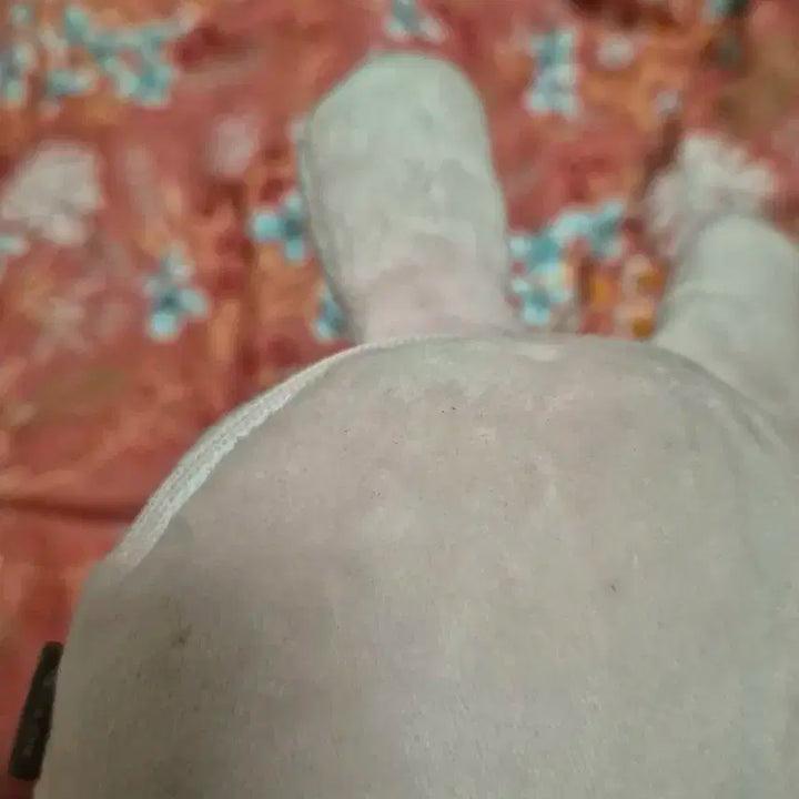 데이식스 19 클콘 선물콘 데니멀즈 파우치 원필 필끼