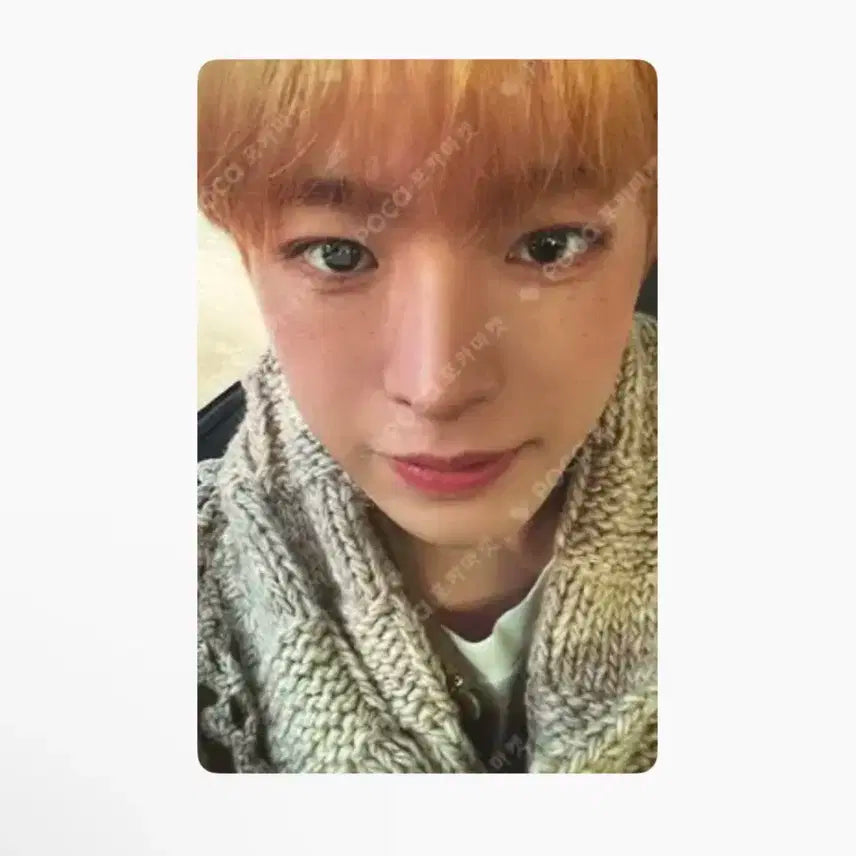 위시 포카 유우시