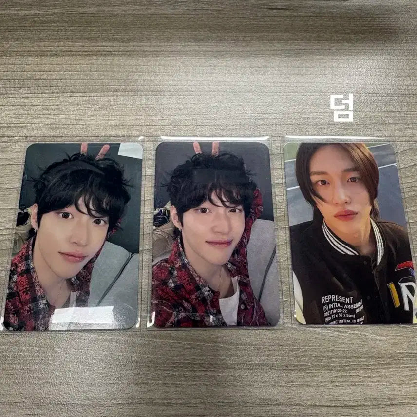 라이즈 원빈 포카 일괄