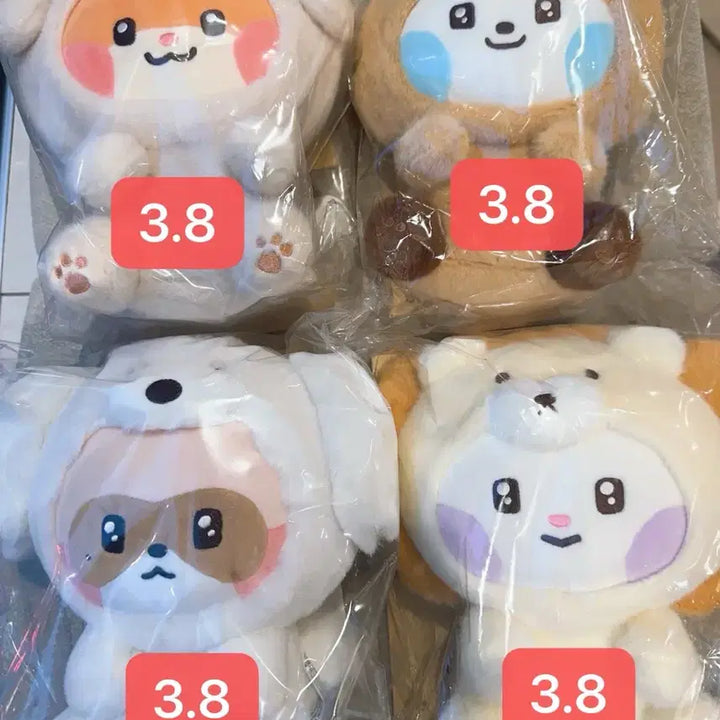 제베원 ZB1 라인프렌즈 제로니 팝업 인형 양도