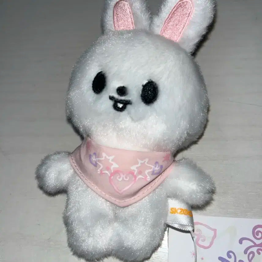 스키주 베이비 리빗 5기 팬미팅 굿즈