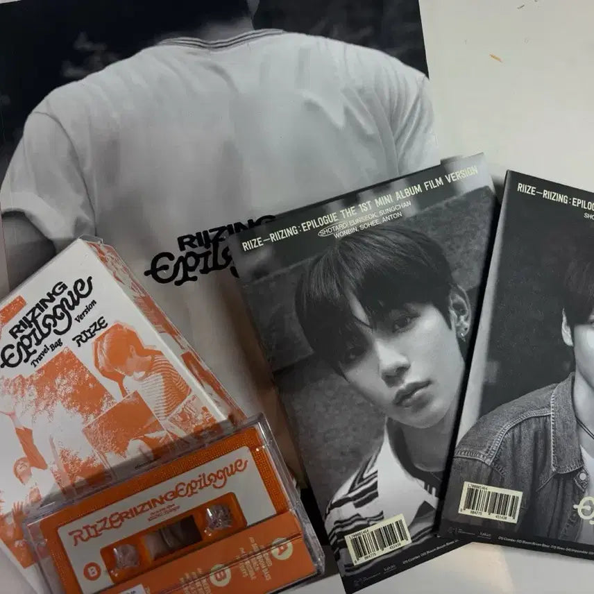 라이즈 에필로그 앨범 일괄