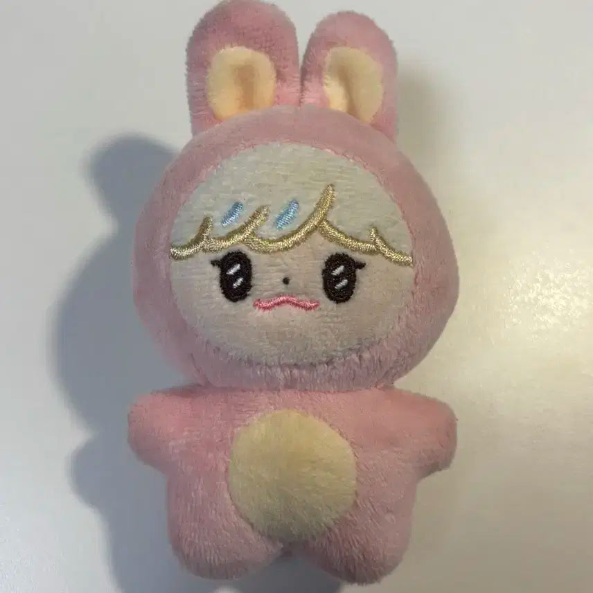 버니잼 양도 급처 나재민 재민 인형 엔시티 드림