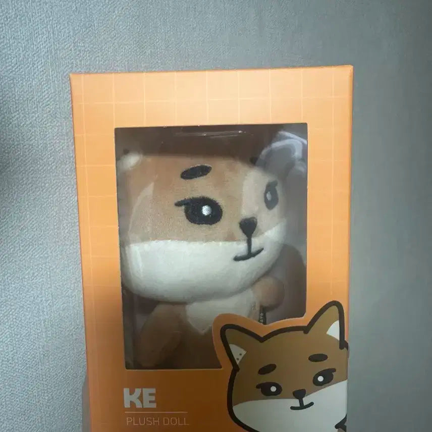 데이식스 데멀 케 24