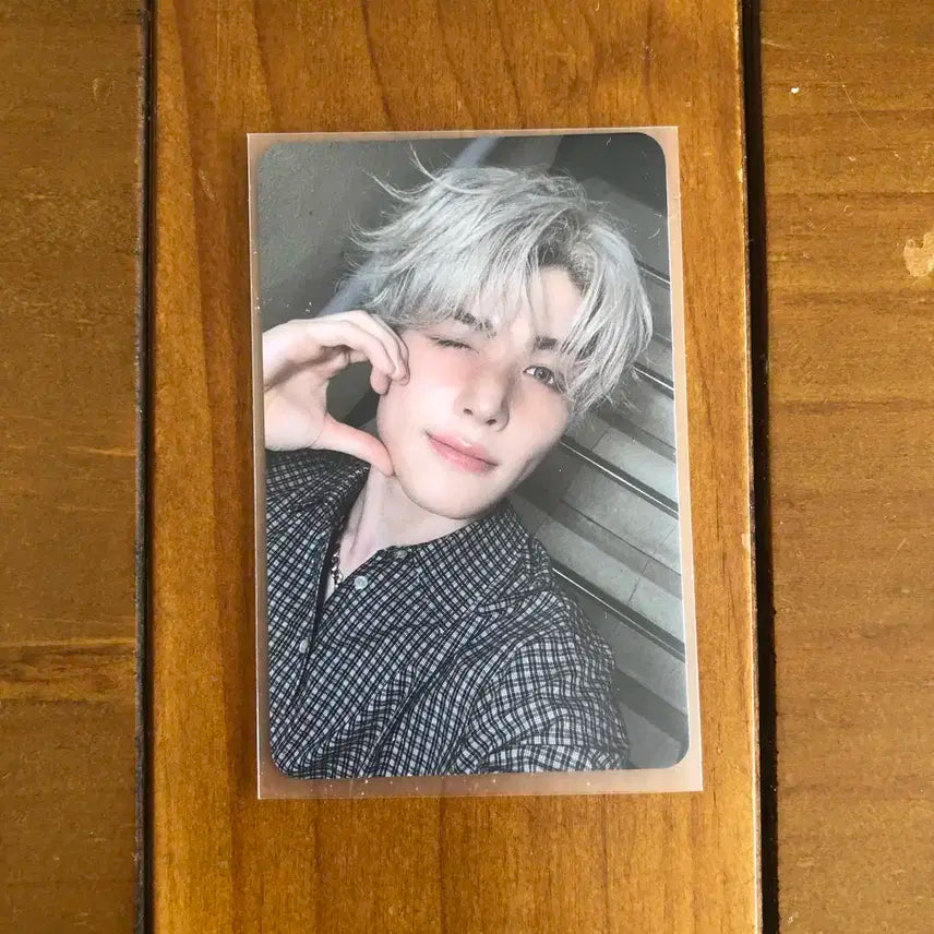 앤팀 마키 월랑 고인블 뮤플 팬싸 영통 미공포 특전 포카 양도 판매