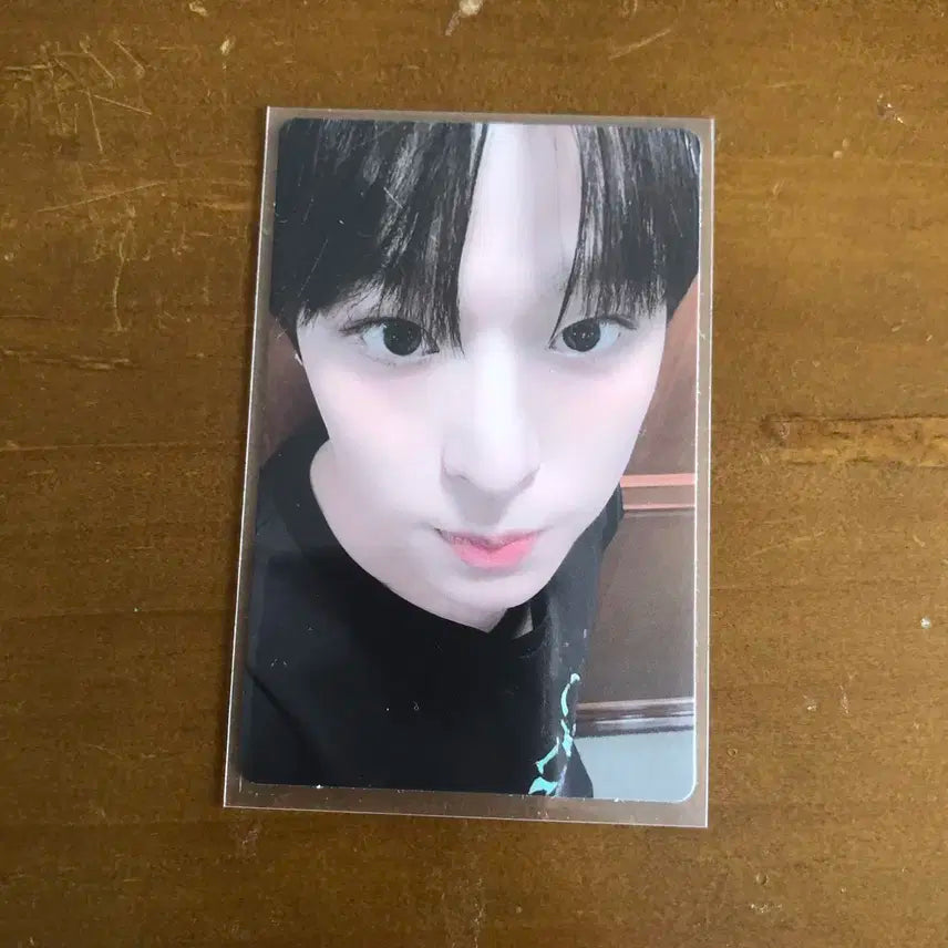 엔시티 위시 엔위시 리쿠 송버드 팬싸 포카 양도 판매 분철