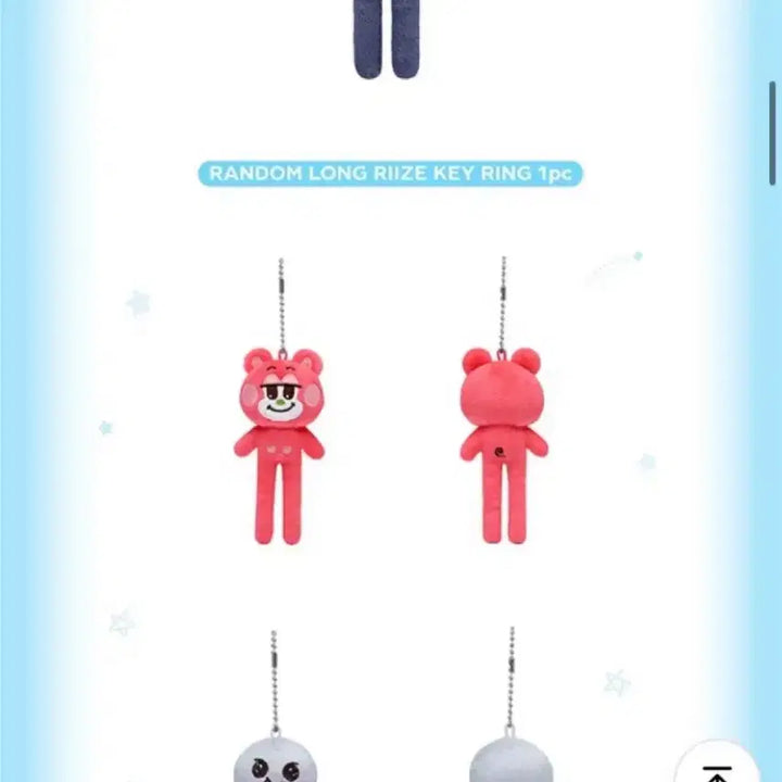 라이즈 쇼타로 롱다리 리즈코 인형 키링(박스O)