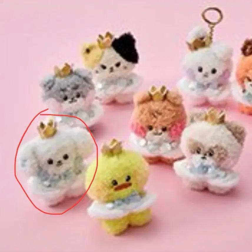 왕자 규니니 판매