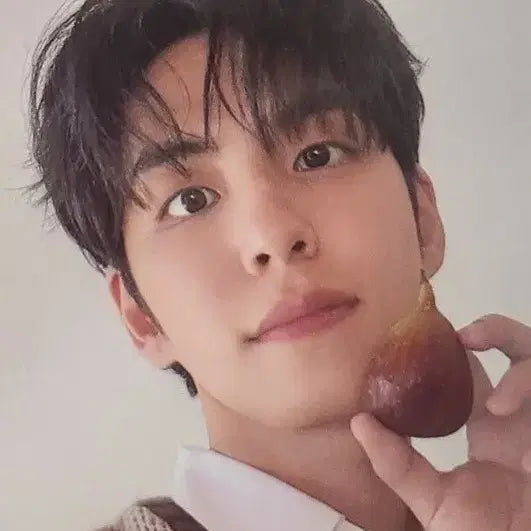 원필 애프터블로우 포카 & 솔리드 퍼퓸 08 우디 피그