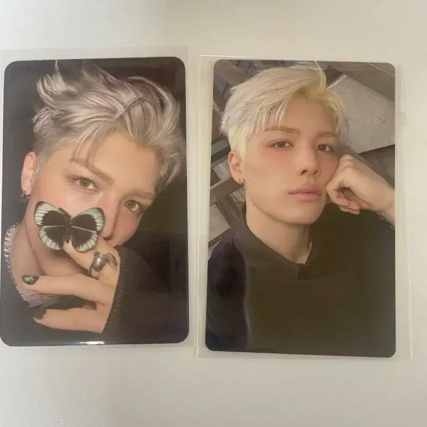 앤팀 마키 앨포, 특전(미개봉) 일괄 양도 백투라이프