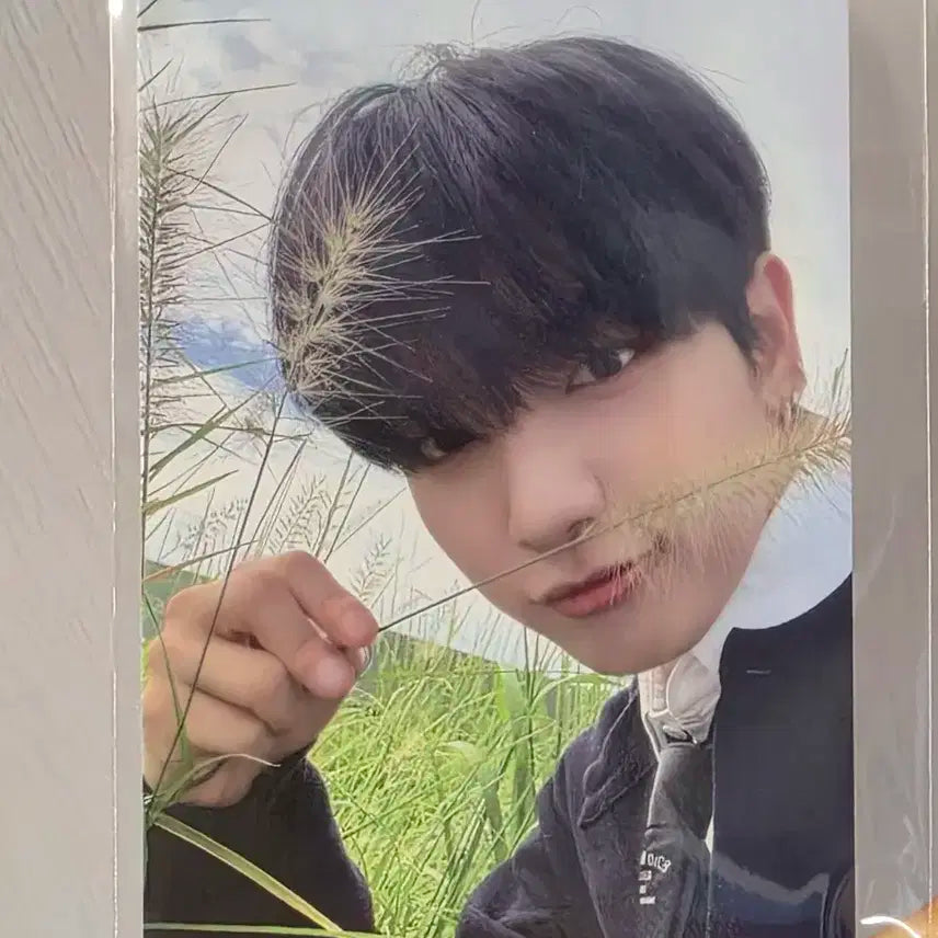 보넥도 명재현 디액션 위버스 미공포