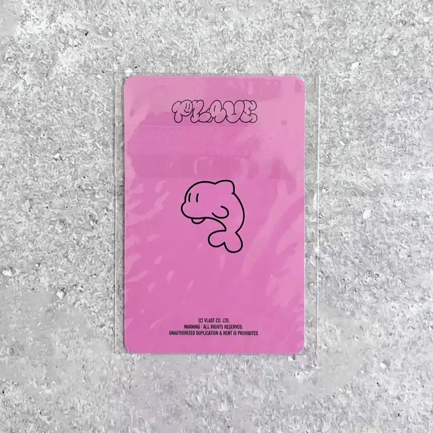 플레이브 바인더 포카 미개봉 예준 왜요왜요왜 md