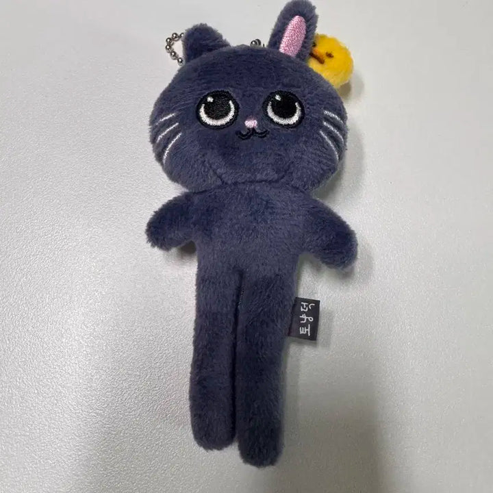 라이즈 원빈 토냥덕 롱냥덕 판매합니다