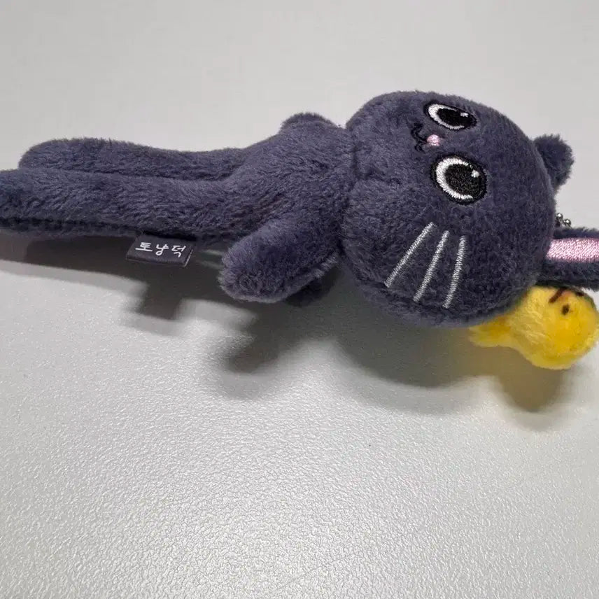 라이즈 원빈 토냥덕 롱냥덕 판매합니다