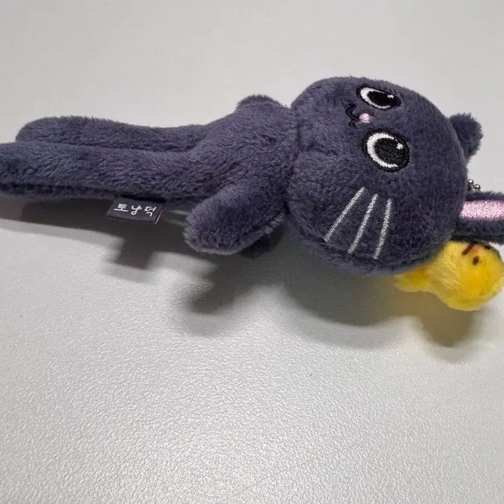 라이즈 원빈 토냥덕 롱냥덕 판매합니다