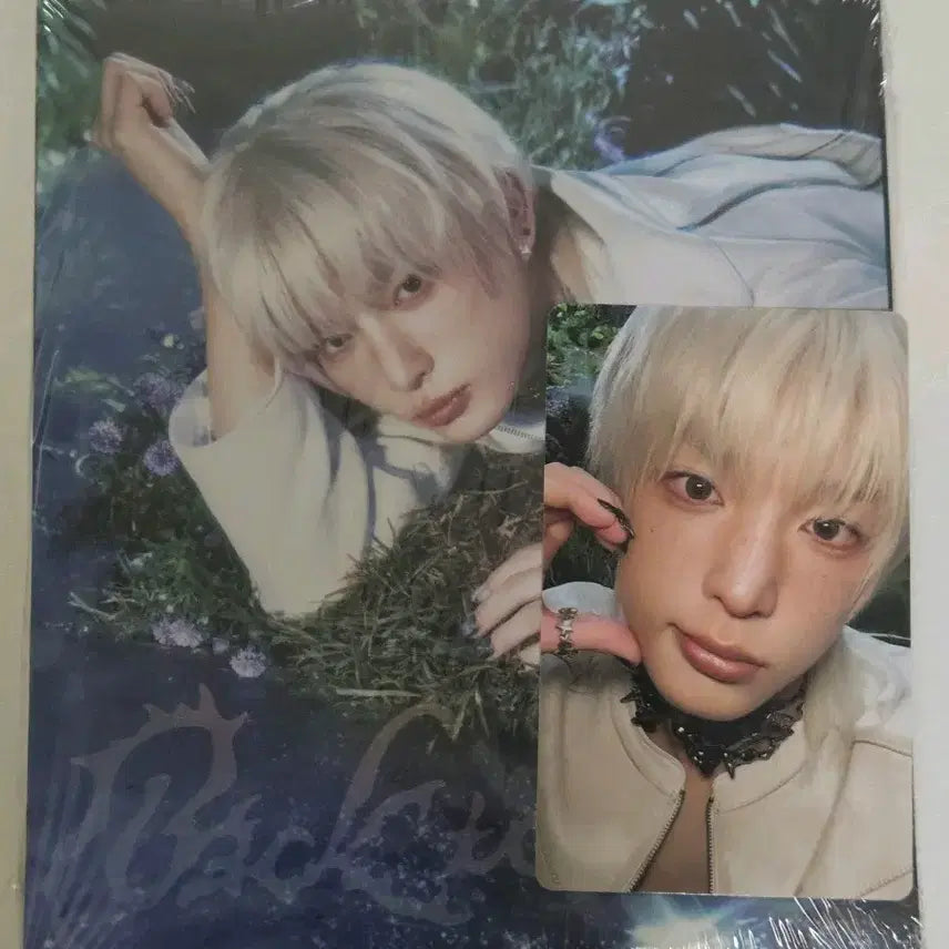 [미개봉+포카 세트]하루아 백투라 로어 앨범 위버스 포카 세트