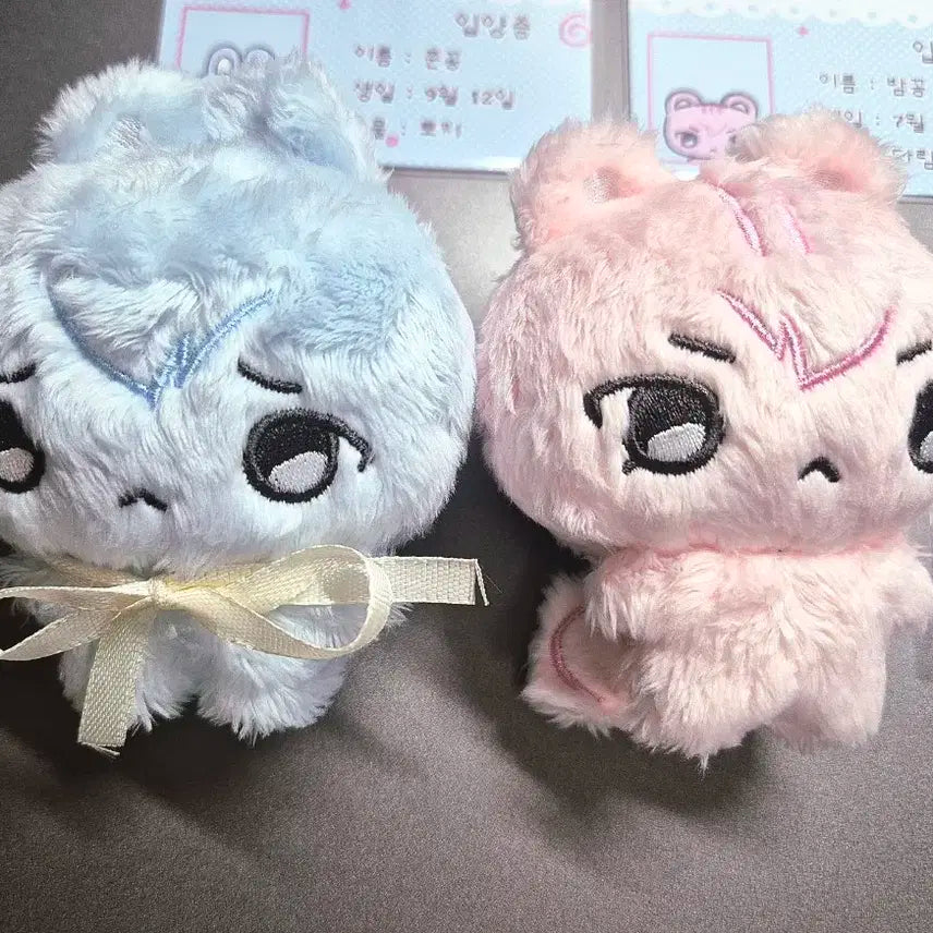 플레이브 비공식 인형 플부꽁 준꽁 밤꽁 + 특전포함 원가 이하