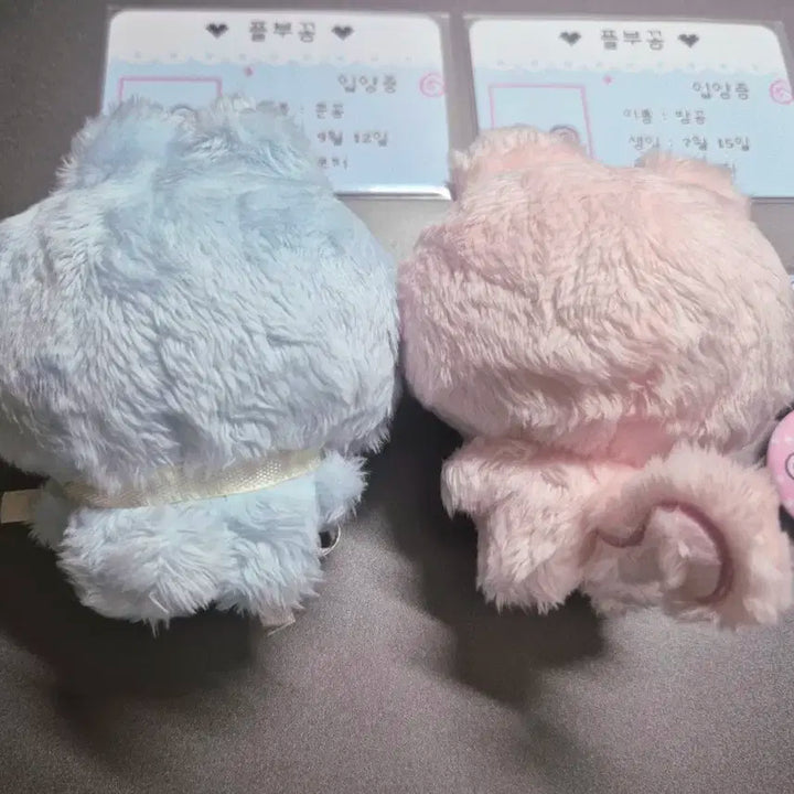 플레이브 비공식 인형 플부꽁 준꽁 밤꽁 + 특전포함 원가 이하