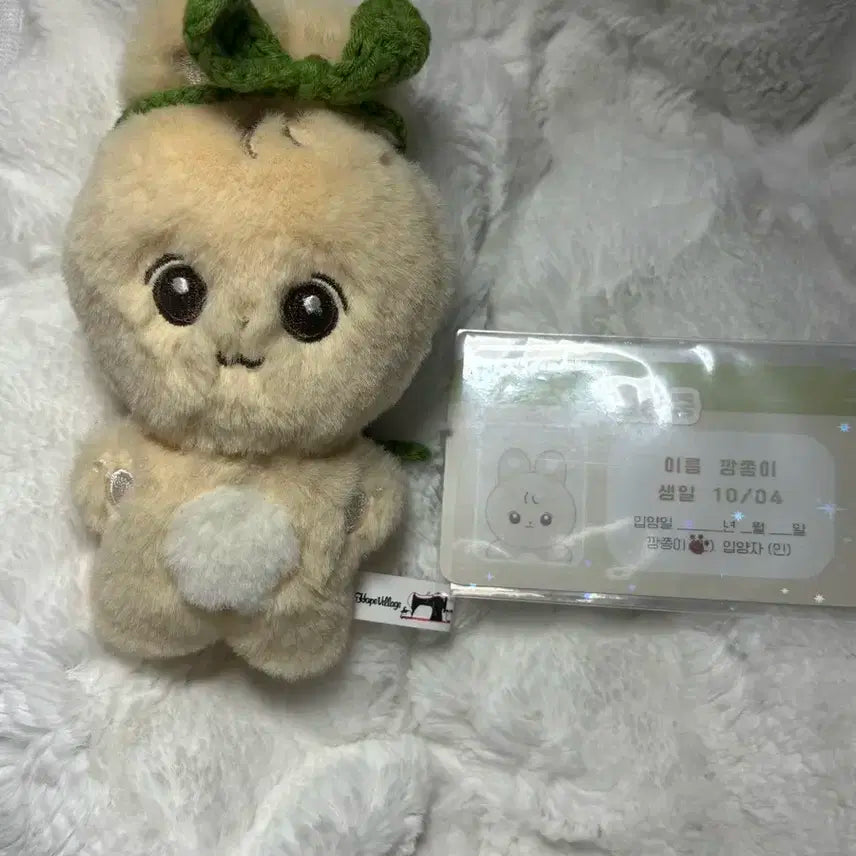 세븐틴 정한 인형 깡쫑이