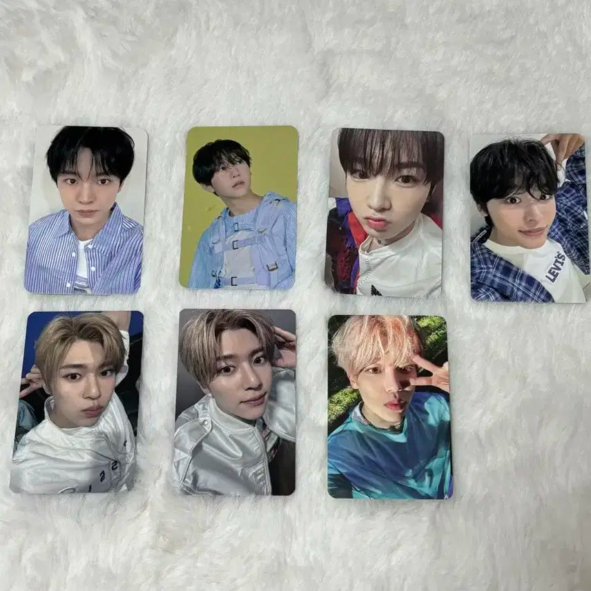 엔시티위시 송버드슴미니 사쿠야