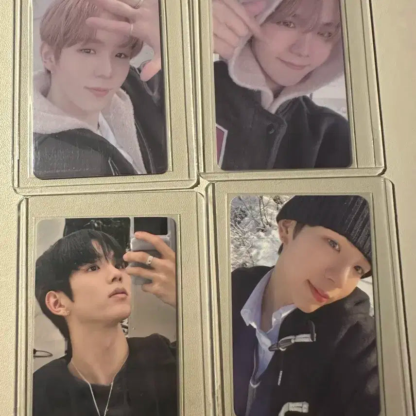 쇼타로 포카 30개 일괄 판매