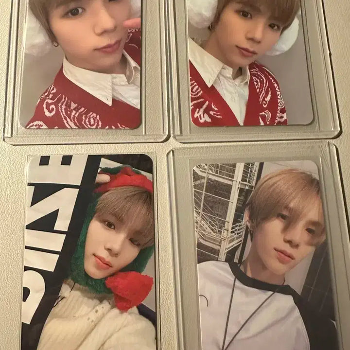 쇼타로 포카 30개 일괄 판매