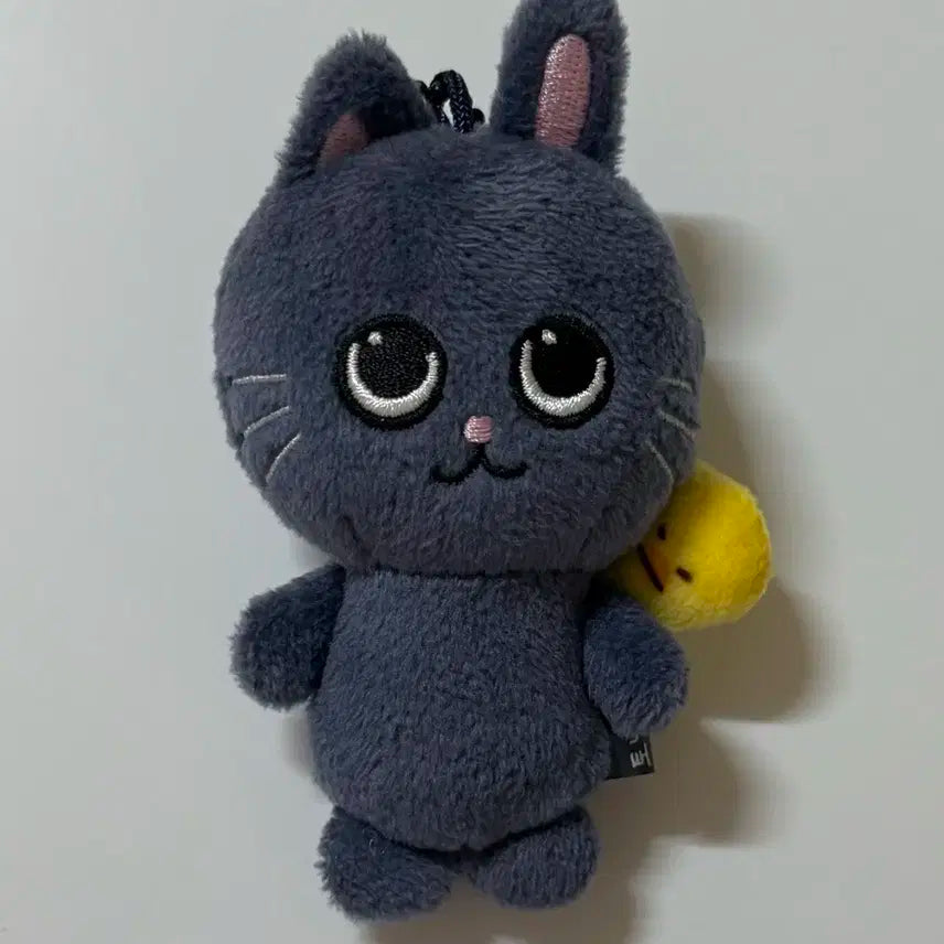 토냥덕 8cm 원빈 인형 리라즈 라이즈 양도