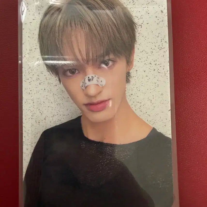 넥스지 세이타 공방포카 bearboxer nexz