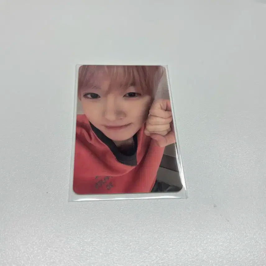 엔시티위시 사쿠야 컬러 미공포 포카