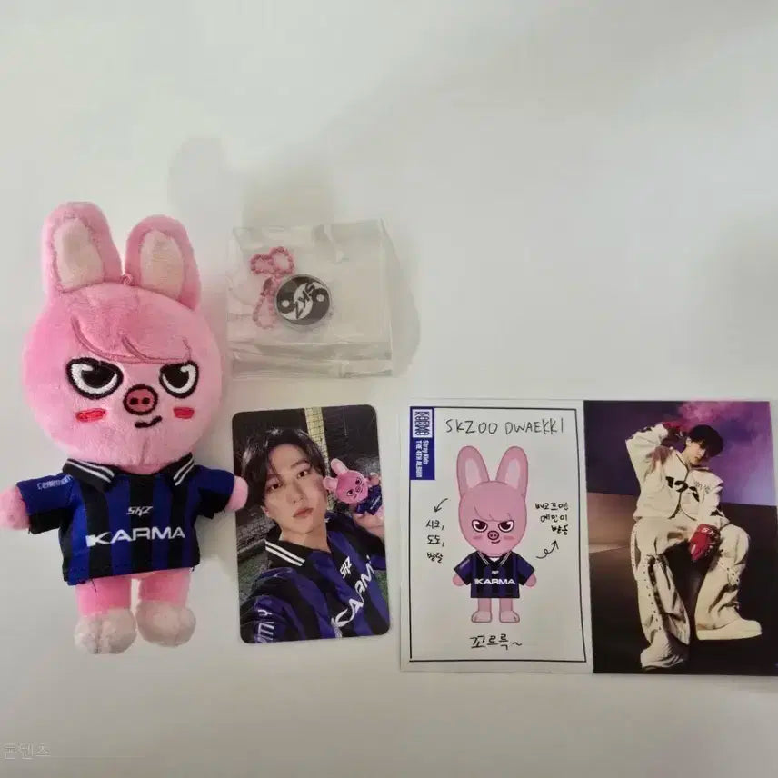 straykids skz 스키즈 카르마 스키주 돼끼