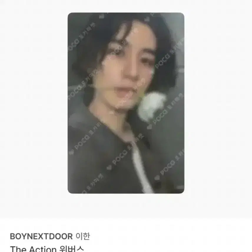 보넥도 이한 일괄