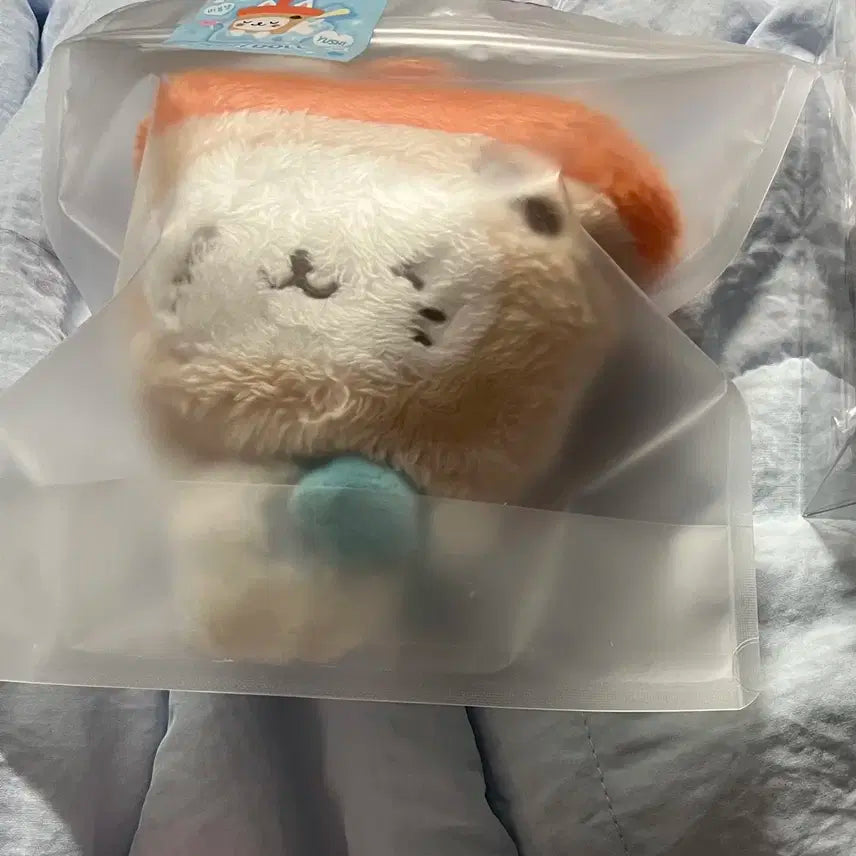 엔시티위시 유우시 버블냥 초판