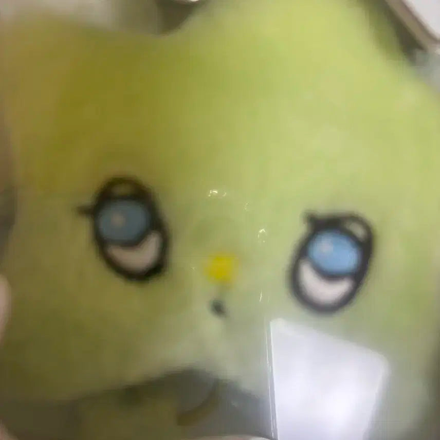 위츄 엔시티 위시