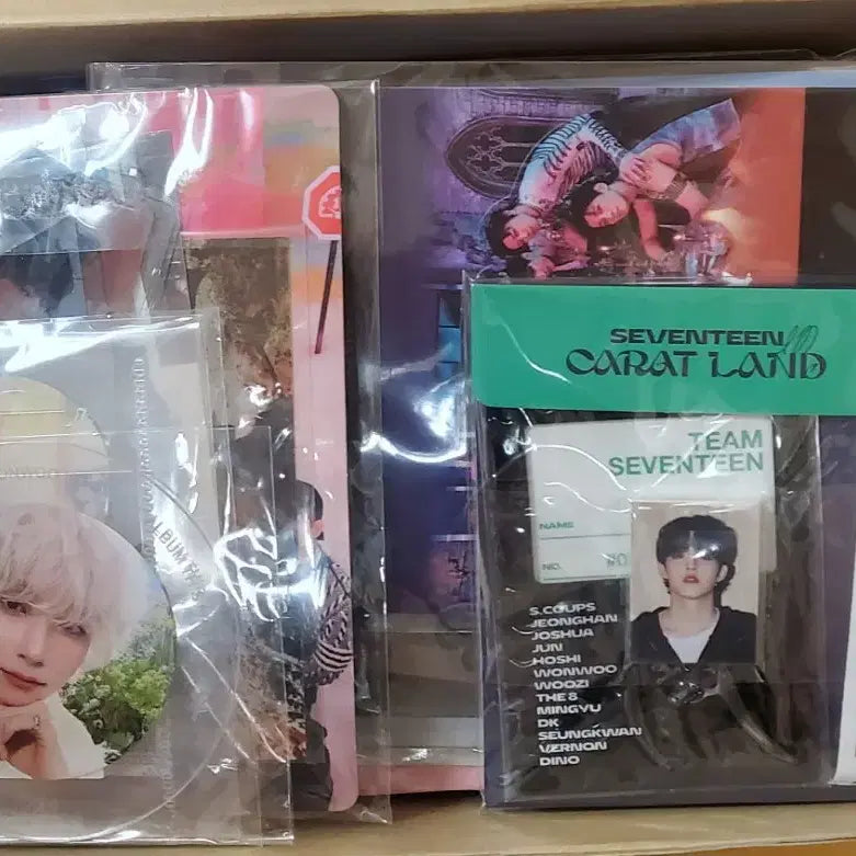 세븐틴 공굿 비공굿 대량 양도 처분