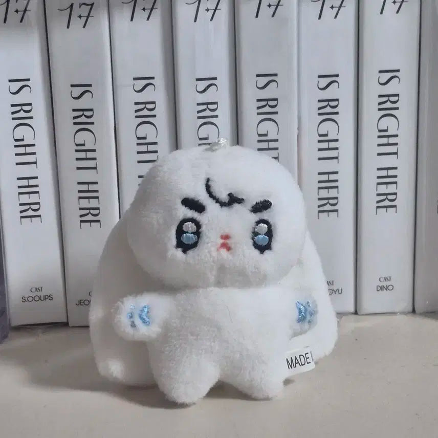 세븐틴 에스쿱스 인형 쪼꼼따뚜 양도