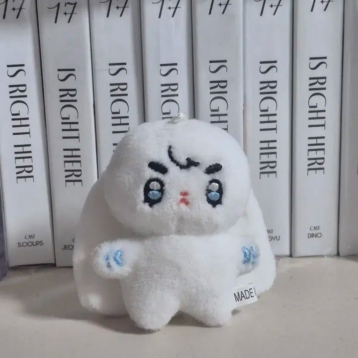 세븐틴 에스쿱스 인형 쪼꼼따뚜 양도