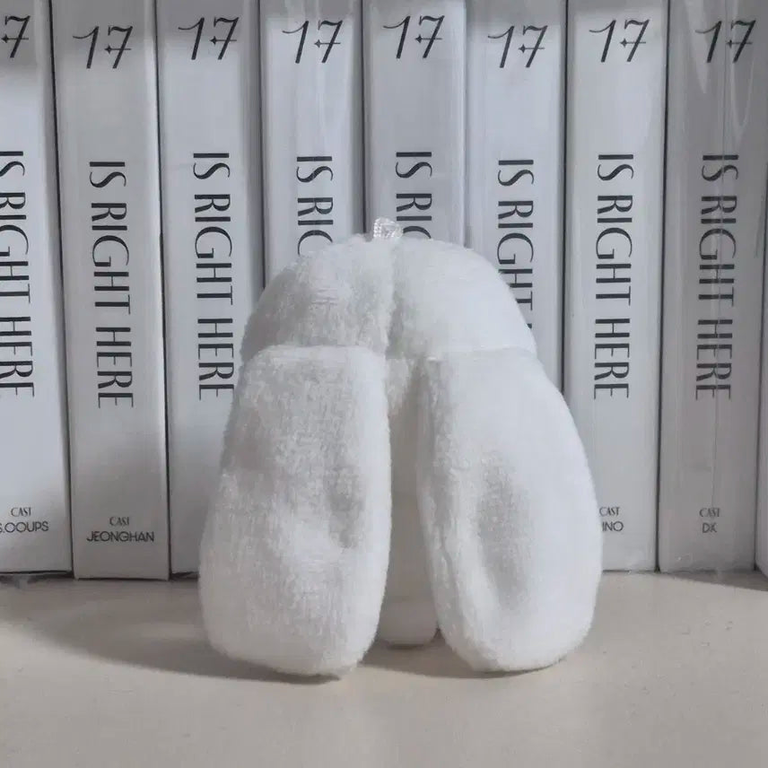 세븐틴 에스쿱스 인형 쪼꼼따뚜 양도