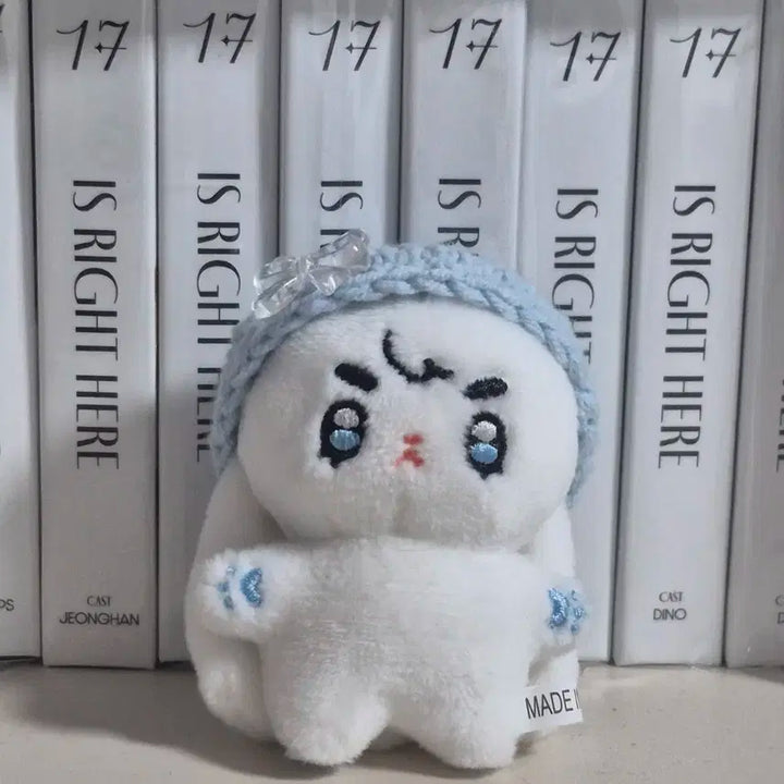 세븐틴 에스쿱스 인형 쪼꼼따뚜 양도