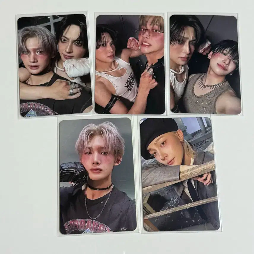 일괄) 앤팀 백투라이프 위버스 앨범 유닛 포카 유마 니콜라스 후마 죠