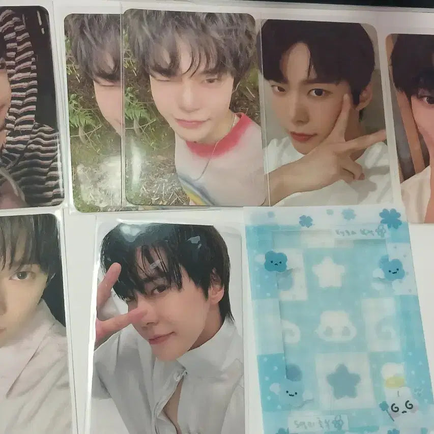 도영 정우 사부작즈 포카 양도 일괄 NCT 페리페라