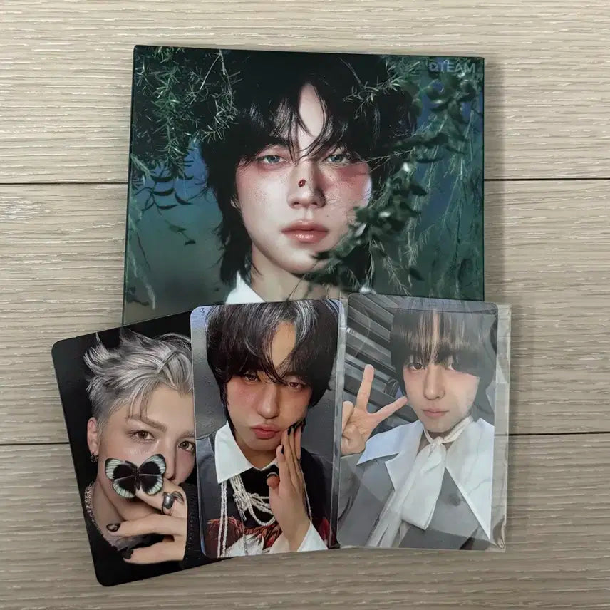 앤팀 타키 백투라이프 로어 앨범 위버스 특전 포카 천사 gaze