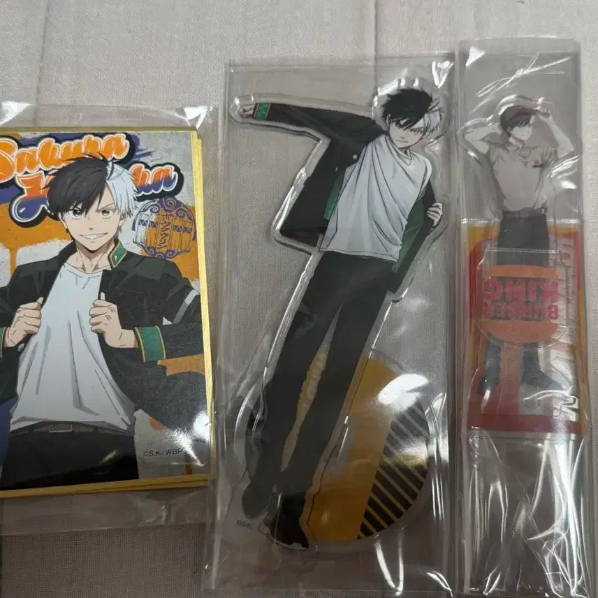 윈브레 사쿠라 일괄