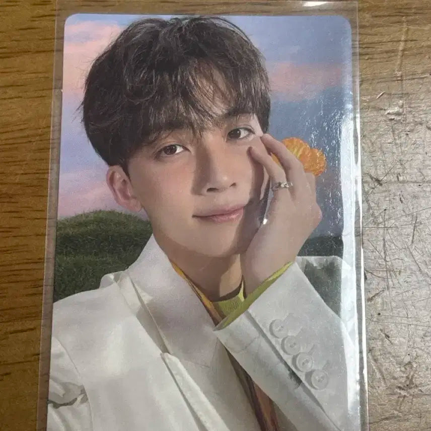 세븐틴 섹터 17 정한포카