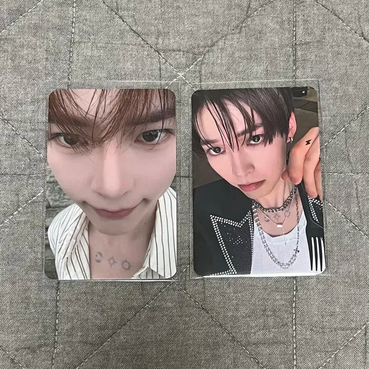 제베원 성한빈 포카 일괄 판매